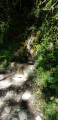 Source Font de la Molle