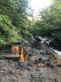 Source Sainte-Anne