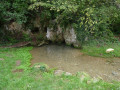 Source et roches en côte Chalonnaise Source et roches en côte Chalonnaise