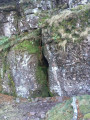 source