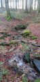 La forêt des charbonniers et les Pierres Rouges