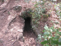 Source
