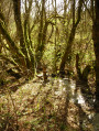 Sources du Viaur