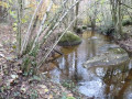 Ruisseau