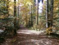 Die Umrundung des Sees Saint Point
