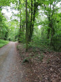 Sous-bois juste avant Kericun