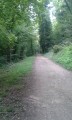 Sous-bois