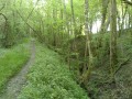Sous bois Sous bois