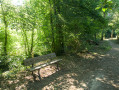 Sous Bois