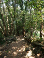Sentier