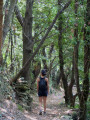 Sentier