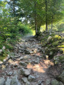 Balade en forêt au dessus de Saint-Régis-du-Coin