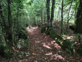 La ronda del Peraire à Saint-Salvy-de-la-Balme