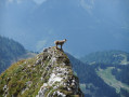 La Dent d'Oche à partir de Novel