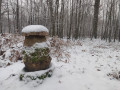 Sous la neige