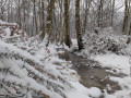 Sous la neige