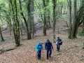 Sur la piste des "Valseuses", par combes et forêts depuis Veuvey-sur-Ouche