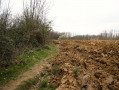 Quatre combes autour de Marennes
