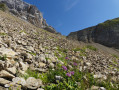 Sous les pentes du col du Rasoir