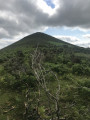 Soylandotchipi