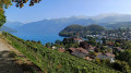 Thun - Spiez par le Panorama Rundweg Thunersee