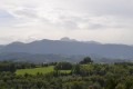 Splendide