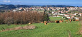 St Didier en Velay vu du hameau de Montméat