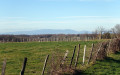 St Julien de l'Herms