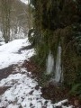 Stalagtite ou stalagmite ? Stalagtite ou stalagmite ?