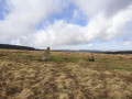 Standing stone