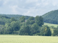 Stapleton Ruins
