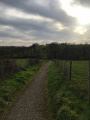 Start of hike