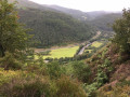 The Precipice near Dolgellau