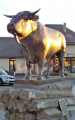 Le Taureau de Laguiole Le Taureau de Laguiole