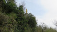 Statue ND de Gorze, vue du chemin