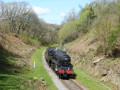SteamTrain