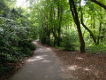 Steep path down into Crimdon Dene