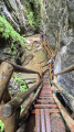 Mixnitz Bärenschützklam, Canyon walk