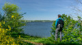 Steilküste an der Schlei
