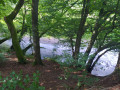 Steilufer