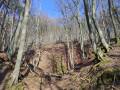 Steinbruch am Neuweg Steinbruch am Neuweg