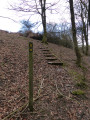 Steps up the left hand path after the footbridge