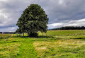 Stile between Golf Course and Field