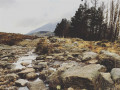 Stream