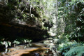 Stream