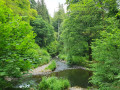 Stream
