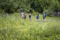 Streifzug durch die Natur