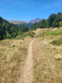 Sur l'ancien chemin du Somport