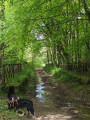 Sur l'ancienne voie ferrée
