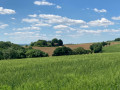 Sur la crête